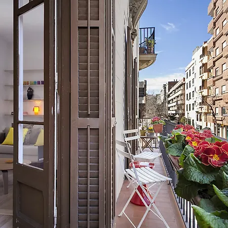 Thesuites *